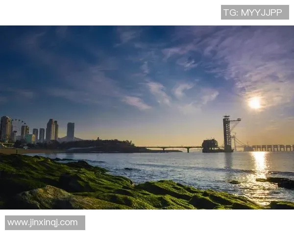 青岛职业足球球星崛起之路与未来发展潜力分析